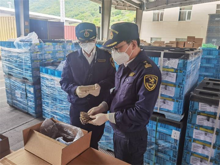 Podporovat zahraniční obchod s cílem zajistit stabilitu a zlepšit kvalitu Celní úřad Ningbo vydal 20 „základních“ opatření